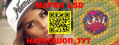 молекула духа Ставрополь