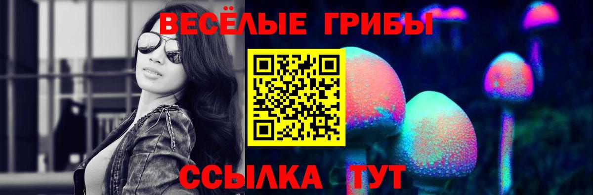 Псилоцибиновые грибы Psilocybe Новодвинск